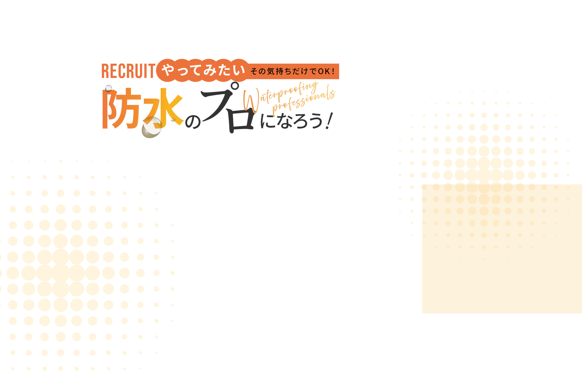 secondmain_bg